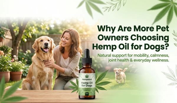How Hemp Seed Oil for Dogs Supports a Healthy and Active Lifestyle