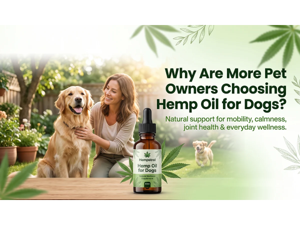 Hemp seed oil for dogs supporting joint health, mobility, calmness, and overall pet wellness.