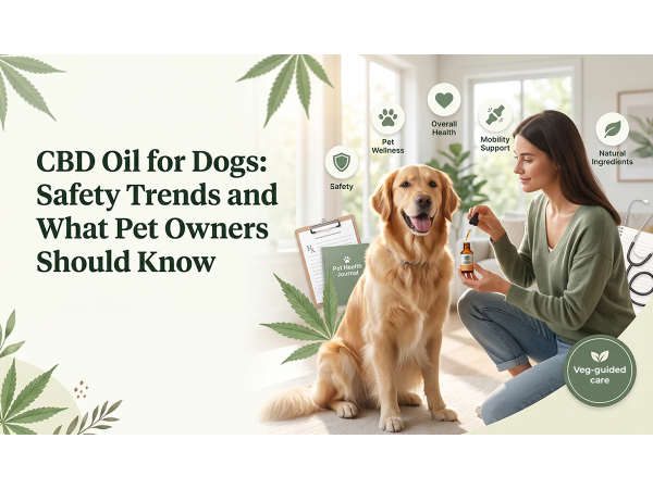 Golden Retriever and cat with CBD oil and hemp leaves, representing hemp-based wellness and natural pet care for dogs.