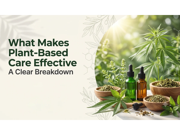 CBD plant-based wellness for stress and sleep