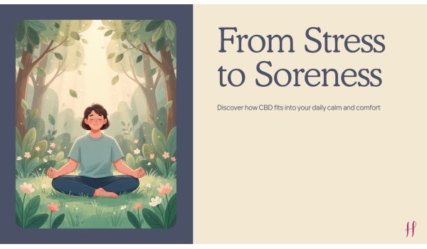 From Stress to Soreness: Why CBD Oil Is Becoming a Go-To for Daily Relief