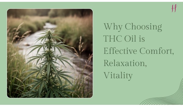 Why Choosing THC Oil is Effective for Comfort, Relaxation, and Vitality