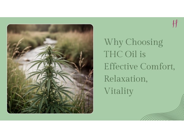 A close-up of a cannabis plant growing by a stream, symbolizing why THC oil is effective for comfort, relaxation, and vitality.