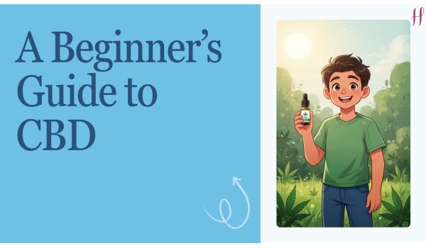 A Beginner’s Guide to Premium CBD Oils and Their Uses	