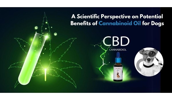 A Scientific Perspective On Potential Benefits Of Cannabinoid Oil For Dogs