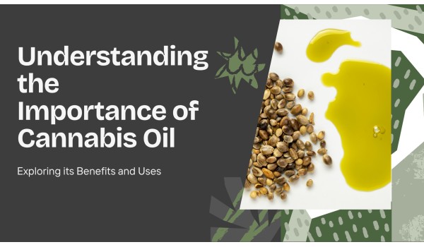 Understanding The Importance Of Cannabis Oil