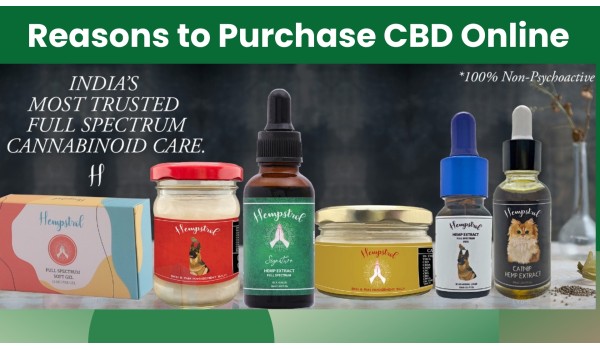 Reasons To Purchase CBD Products Online