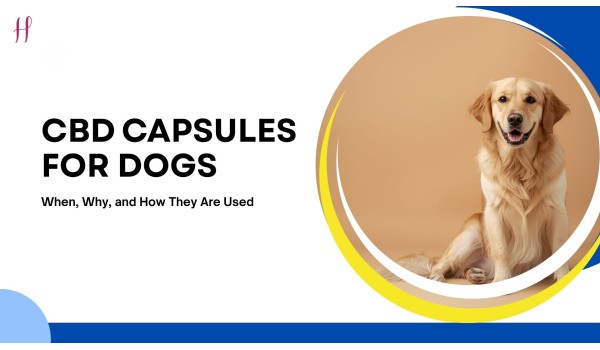 CBD Capsules for Dogs: When, Why, and How They Are Used	