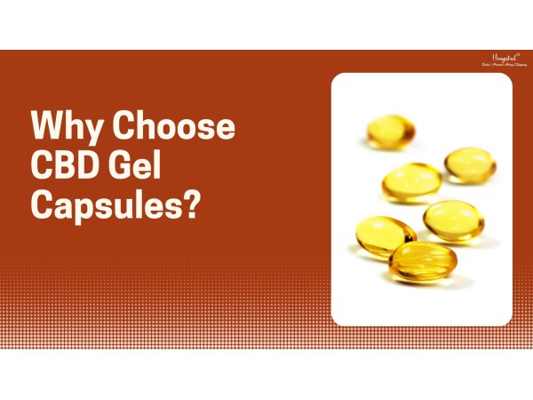 Why Choose CBD Gel Capsules? A Look at Their Benefits