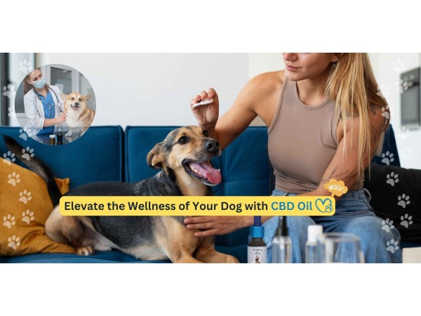 buy cbd oil for pets online