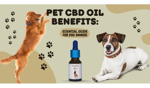 Pet CBD Oil Benefits: Essential Guide For Dog Owners