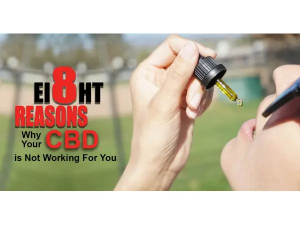 Eight Reasons Why Your CBD is Not Working For You