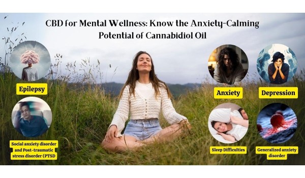 CBD For Mental Wellness: Know The Anxiety-Calming Potential Of Cannabidiol Oil