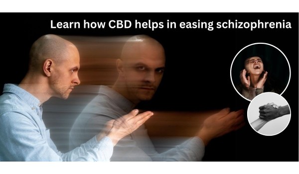 Learn How CBD Helps In Easing Schizophrenia