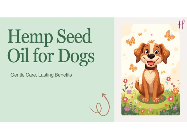 Cute dog illustration representing hemp seed oil for dogs with gentle care and lasting skin benefits.