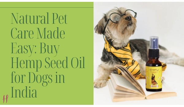 Natural Pet Care Made Easy: Buy Hemp Seed Oil for Dogs in India