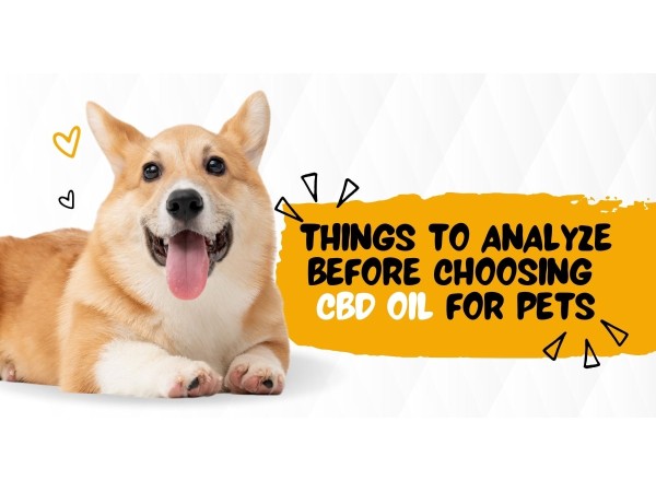 cannabidiol oil India