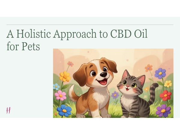 A Holistic Approach to CBD Oil for Pets slide with smiling dog and cat among flowers, representing gentle whole-pet wellness.
