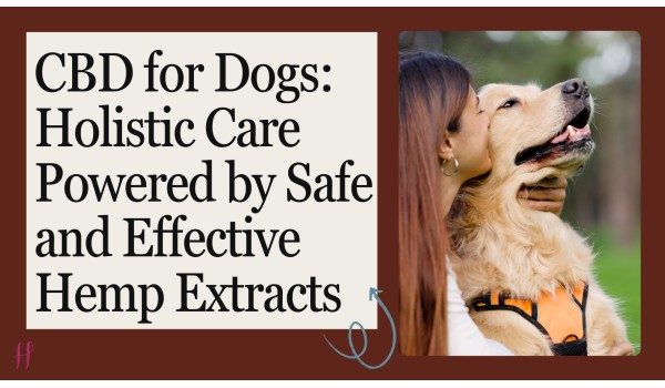 CBD for Dogs: Holistic Care Powered by Safe and Effective Hemp Extracts