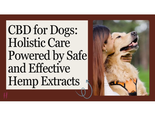 Woman cuddles a golden retriever beside a headline about CBD for dogs and hemp extracts.