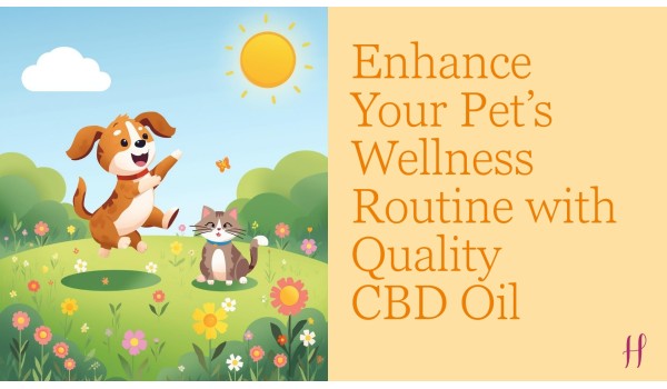 Enhance Your Pet’s Wellness Routine with Quality CBD Oil
