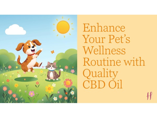 Cartoon dog and cat playing in sunny field promoting pet wellness with quality CBD oil.  Select 85 more words to run Humanizer.