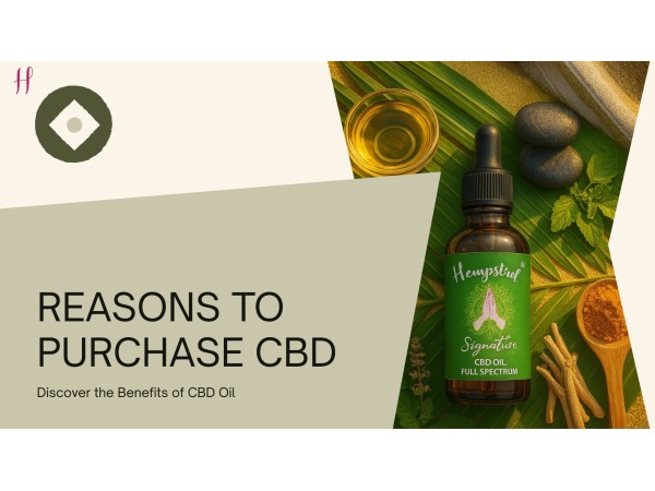 Reasons to purchase CBD oil products