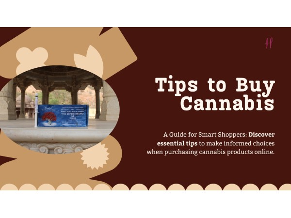 Tips to Buy Cannabis Products Online