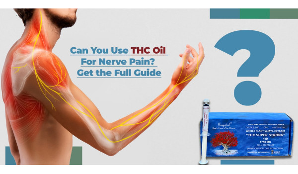 Can You Use THC Oil For Nerve Pain? Get The Full Guide