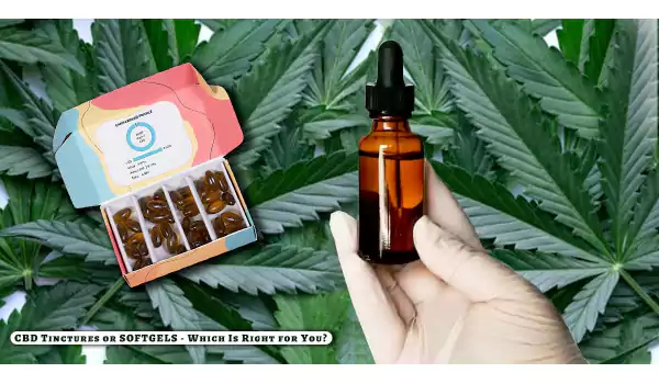 Cbd Tinctures or Softgels - Which Is Right For You?