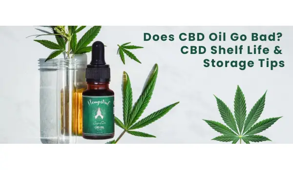 Does CBD Oil Go Bad? CBD Shelf Life & Storage Tips