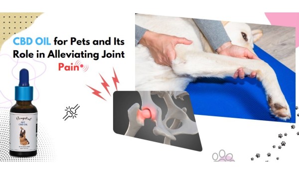 CBD Oil For Pets And Its Role In Alleviating Joint Pain