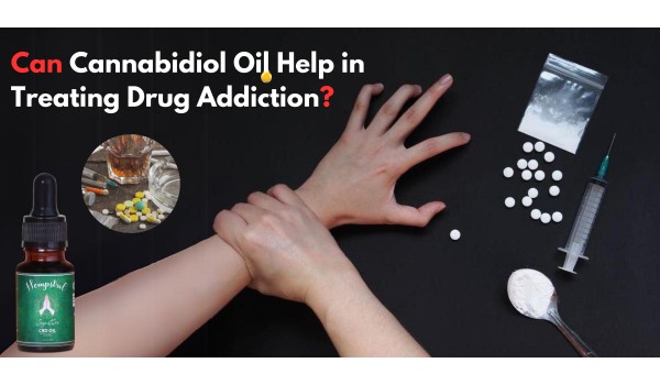 Can Cannabidiol Oil Help In Treating Drug Addiction?