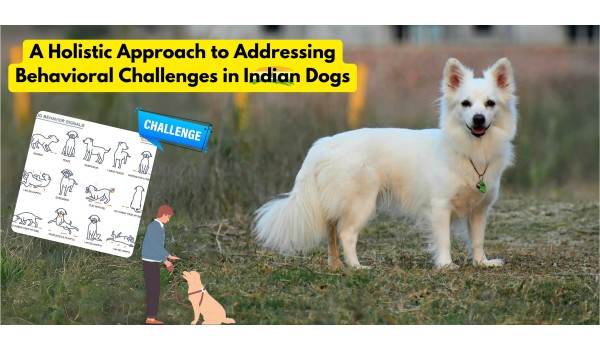 A Holistic Approach To Addressing Behavioral Challenges In Indian Dogs