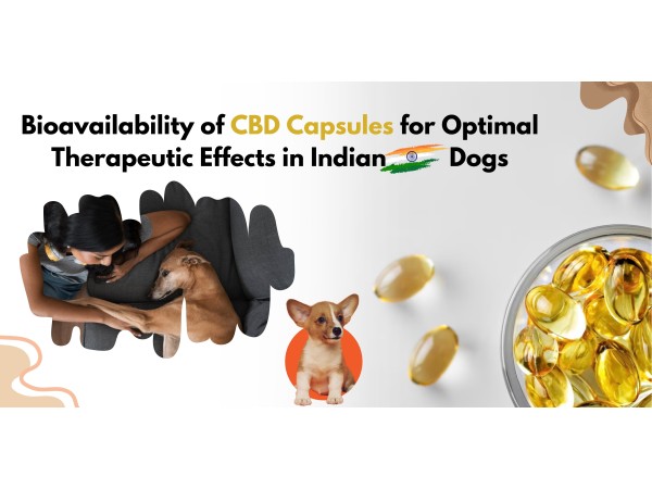 cbd capsules