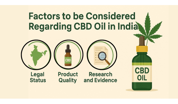Factors To Be Considered Regarding CBD Oil In India