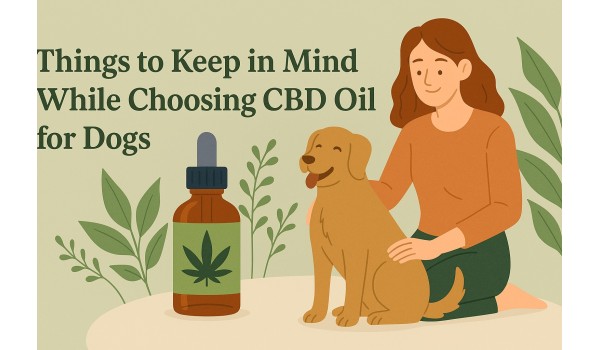 Things To Keep In Mind While Choosing CBD Oil For Dogs
