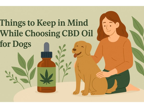 CBD oil for pets