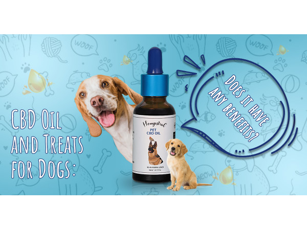 Cbd Oil and Treats for Dogs: Does It Have Any Benefits?