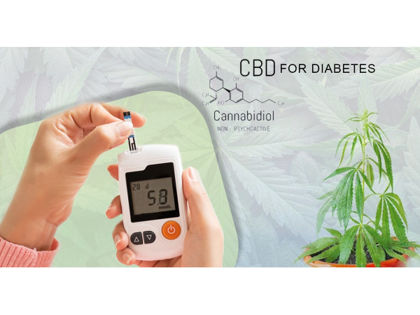 Cbd for Diabetes