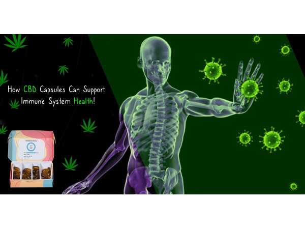 CBD capsules