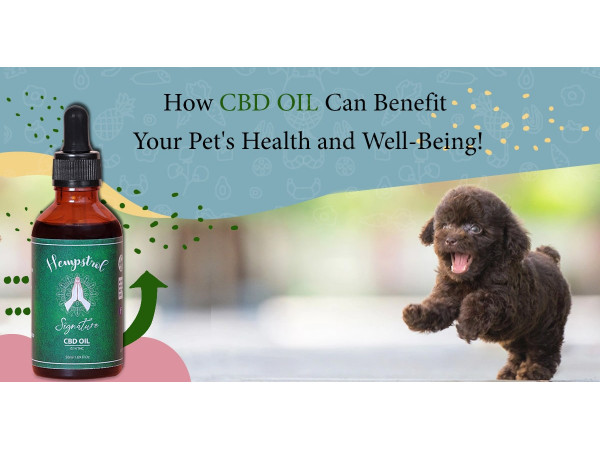 CBD oil