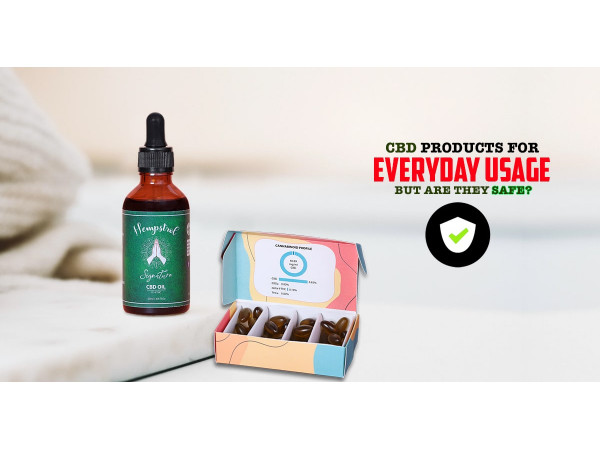 CBD Products For Everyday Usage But Are They Safe?
