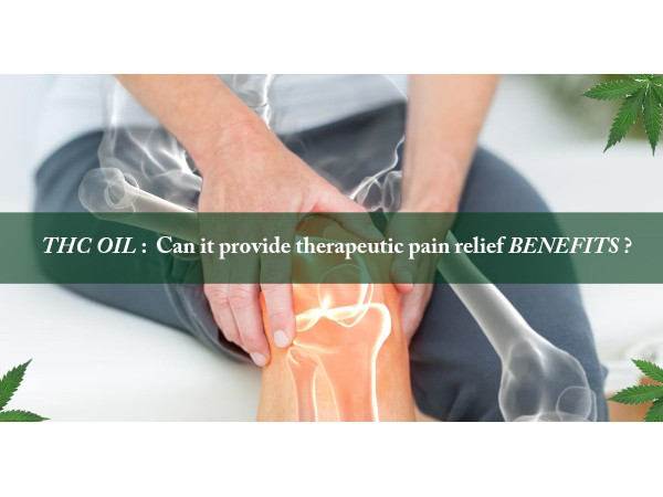 THC Oil Pain Relief