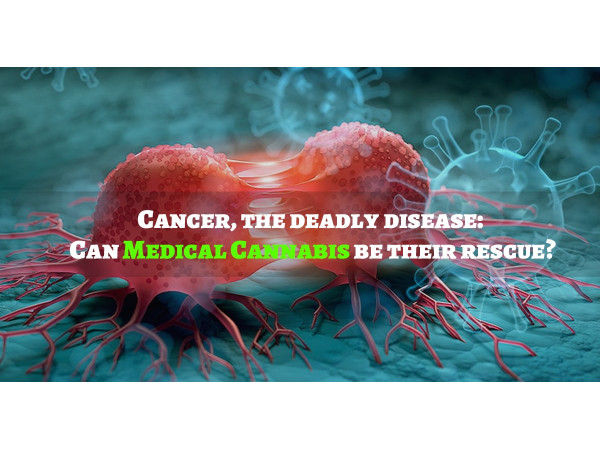 Cancer, the deadly disease: Can Medical Cannabis