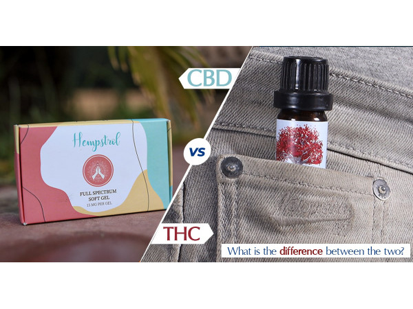 CBD Vs THC Oil Difference