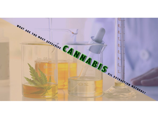 Cannabis Oil Extraction Methods