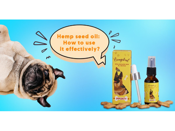 Hemp Seed Oil for Dogs