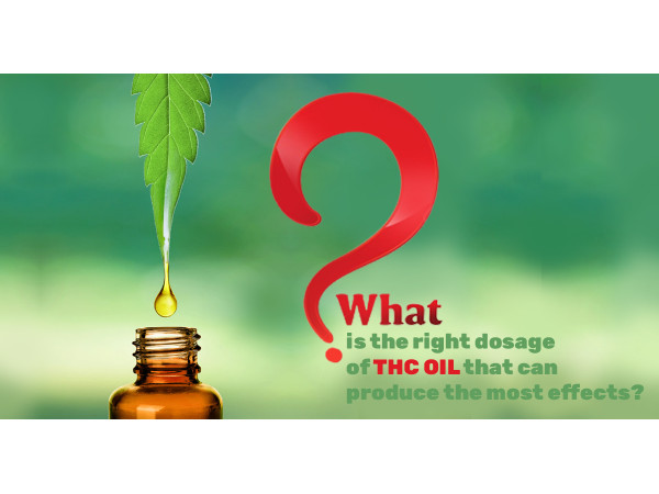 What is THC Oil, And How It Is Different From CBD?
