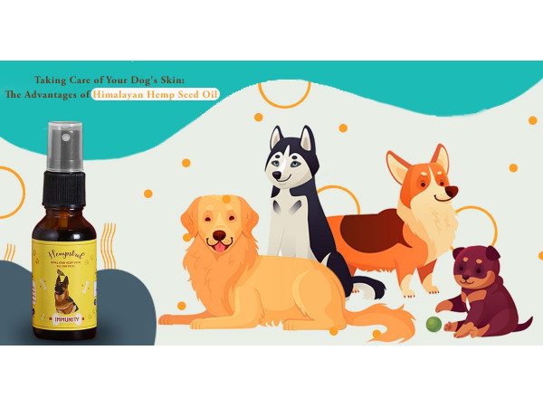cbd oil for dogs India